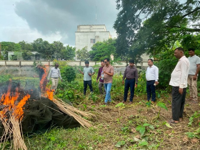 ফরিদপুরে সংবাদ প্রকাশের পর সালথায় লক্ষাধিক টাকার চায়না দুয়ারি জাল ধ্বংস